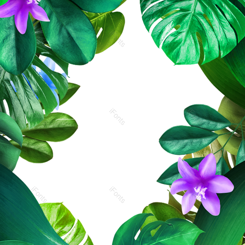 叶子图片,夏天元素,绿叶PNG,树叶免抠素材